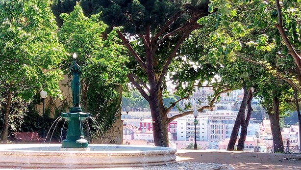 A fountain with a statue in the center, surrounded by trees and buildings in the background.