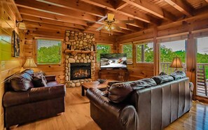 TV, fireplace, DVD player