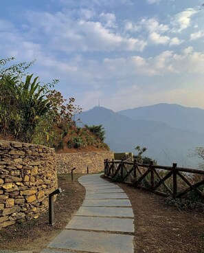 View from property - Taj Chia Kutir, Resort & Spa (Kurseong)