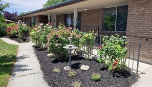 Terrein van de accommodatie