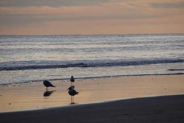 Beach nearby