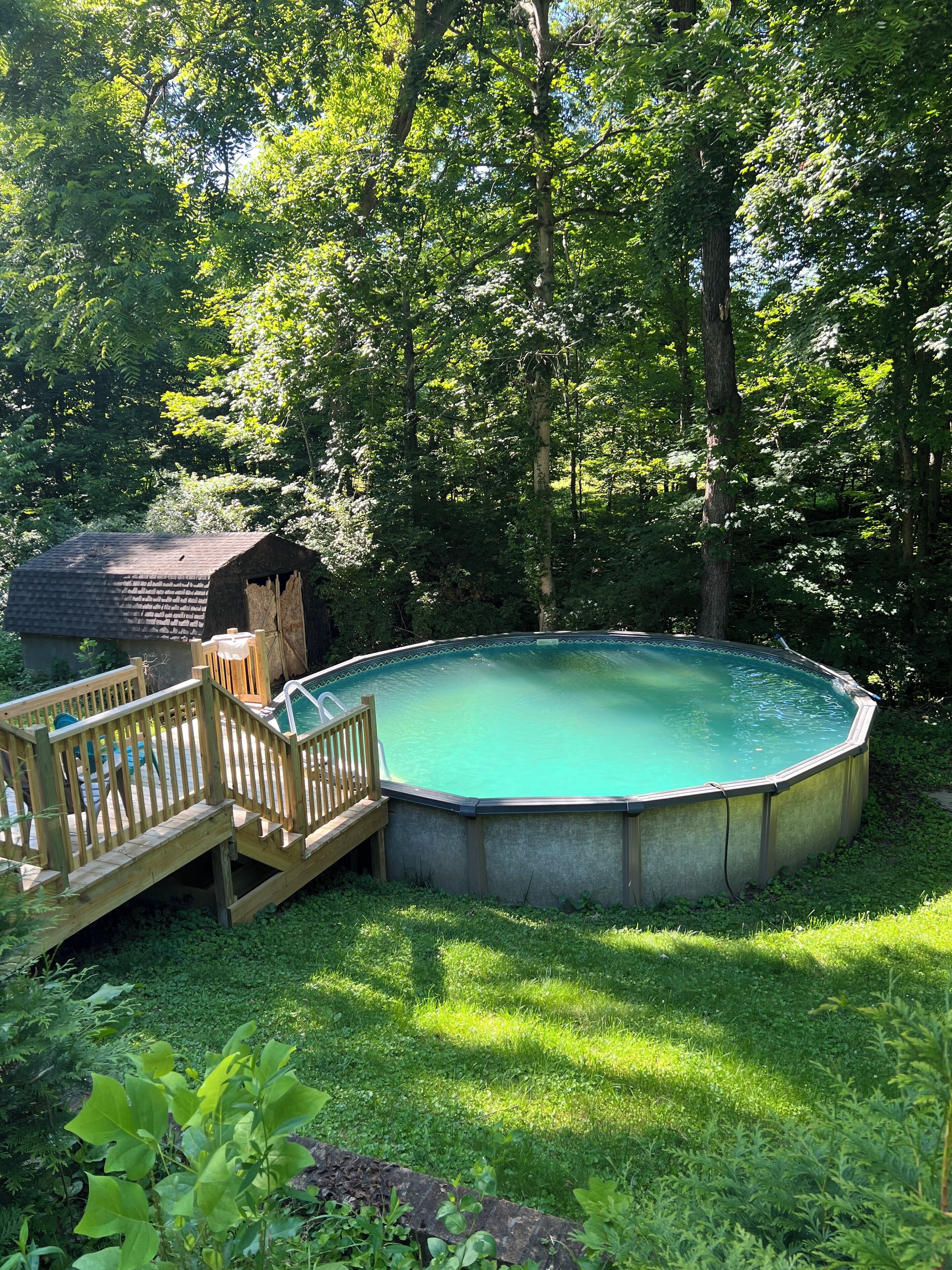 A round swimming pool with a wooden deck and a small bridge, surrounded by lush greenery and trees.