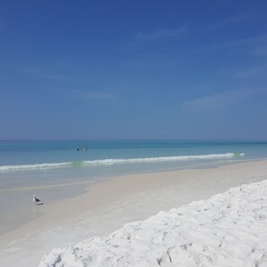 Playa en los alrededores, camastros y toallas de playa 