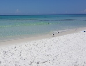 Beach nearby, sun-loungers, beach towels