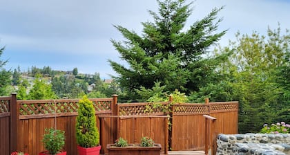 Private Cozy Comfy 1BR Suite