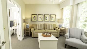 Flat-screen TV, fireplace, DVD player, books