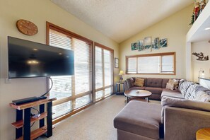 TV, fireplace, DVD player, books