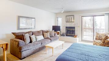 Télévision, cheminée, lecteur de DVD