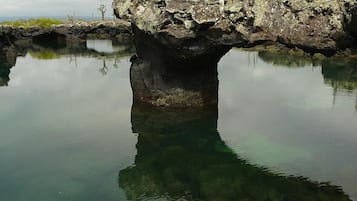 鸟瞰图