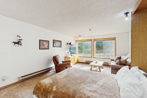 Iron/ironing board, Internet, bed sheets