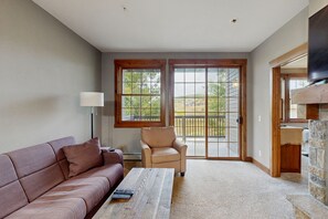 TV, fireplace, DVD player