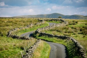 صورة غير مصنفة، 2 من 27، زرّ