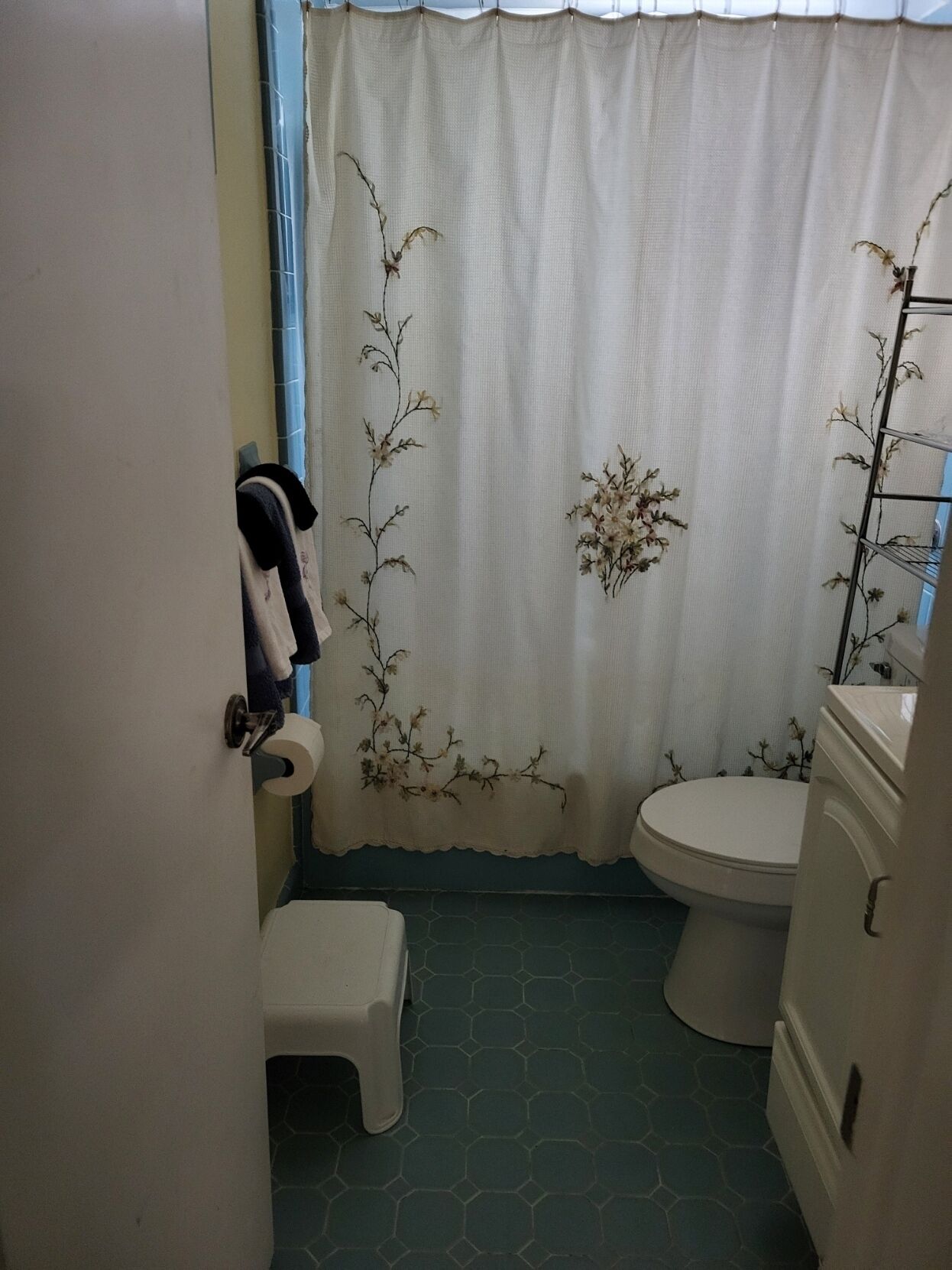 Combined shower/tub, jetted tub, hair dryer, towels