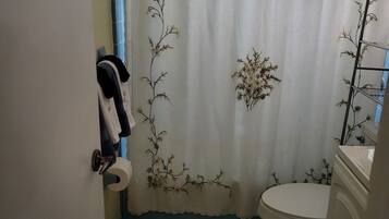 Combined shower/tub, jetted tub, hair dryer, towels