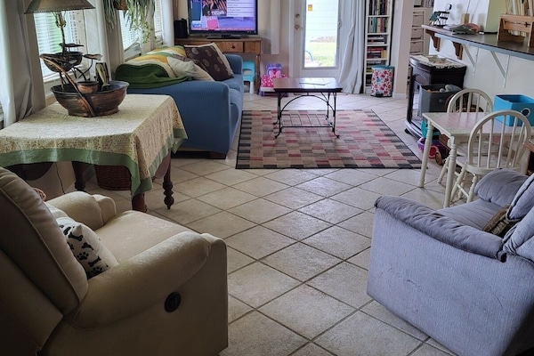 Télévision, cheminée, livres