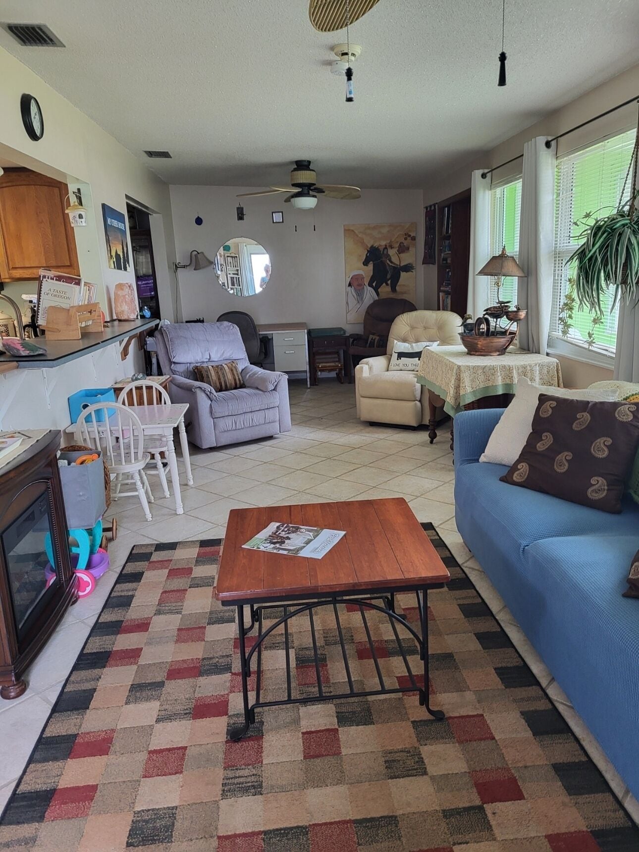 TV, fireplace, books