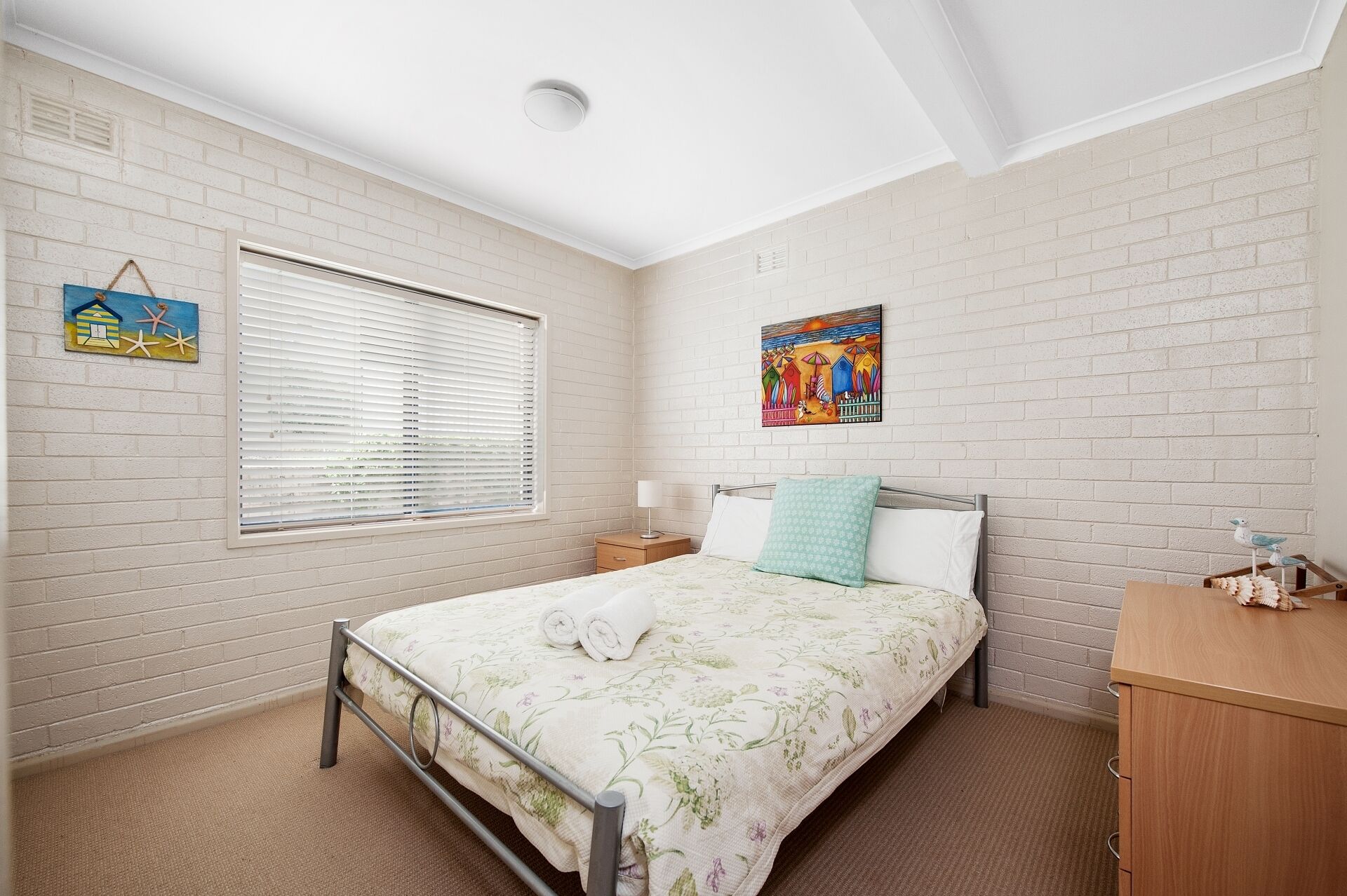 Top 8 Pet & DogFriendly In Mollymook, Australia