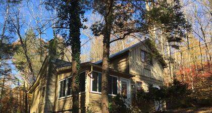 Fish the "Little J" / Cozy Cottage convenient to Juniata College & Penn State