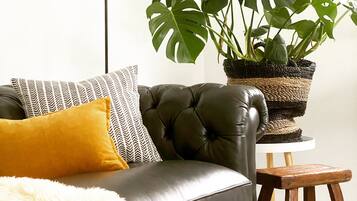 Smart TV, fireplace, Netflix, streaming services