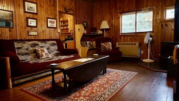 TV, fireplace, DVD player
