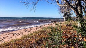 A beach with waves, a tree, and a clear sky.