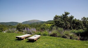 Property grounds - Villa Cenobio D: A characteristic and welcoming apartment that is part of an ancient country house made of stone, with Free WI-FI. (Umbertide)