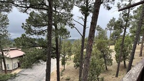 Un barrio residencial con camino de entrada pavimentado, un pequeño edificio de techo rojo y un bosque de pinos.