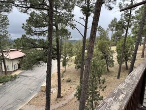 Property grounds - Pachanga - B4 - Recentely Renovated (Ruidoso)