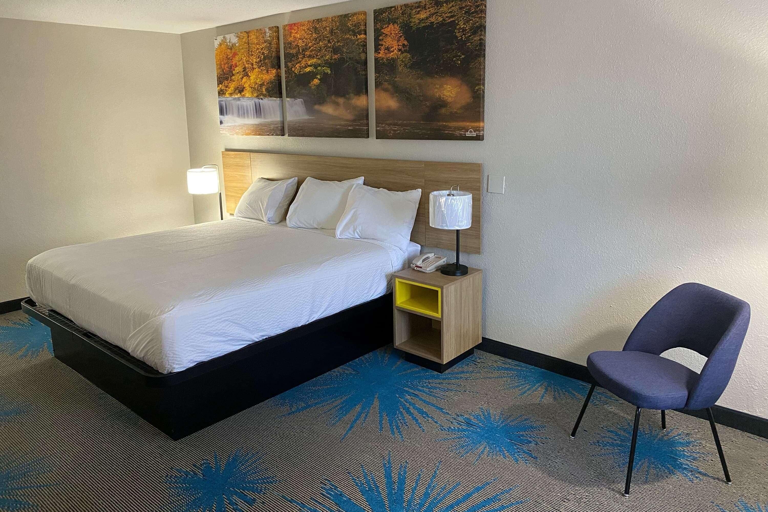 A hotel room with a large bed, a nightstand with a lamp, a chair, and a wall-mounted artwork.