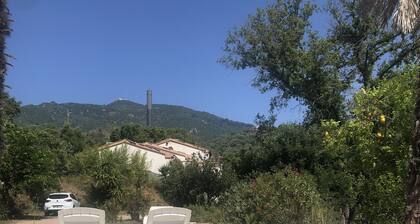 Bas de Villa,piscine,calme,sécurisé, Ajaccio