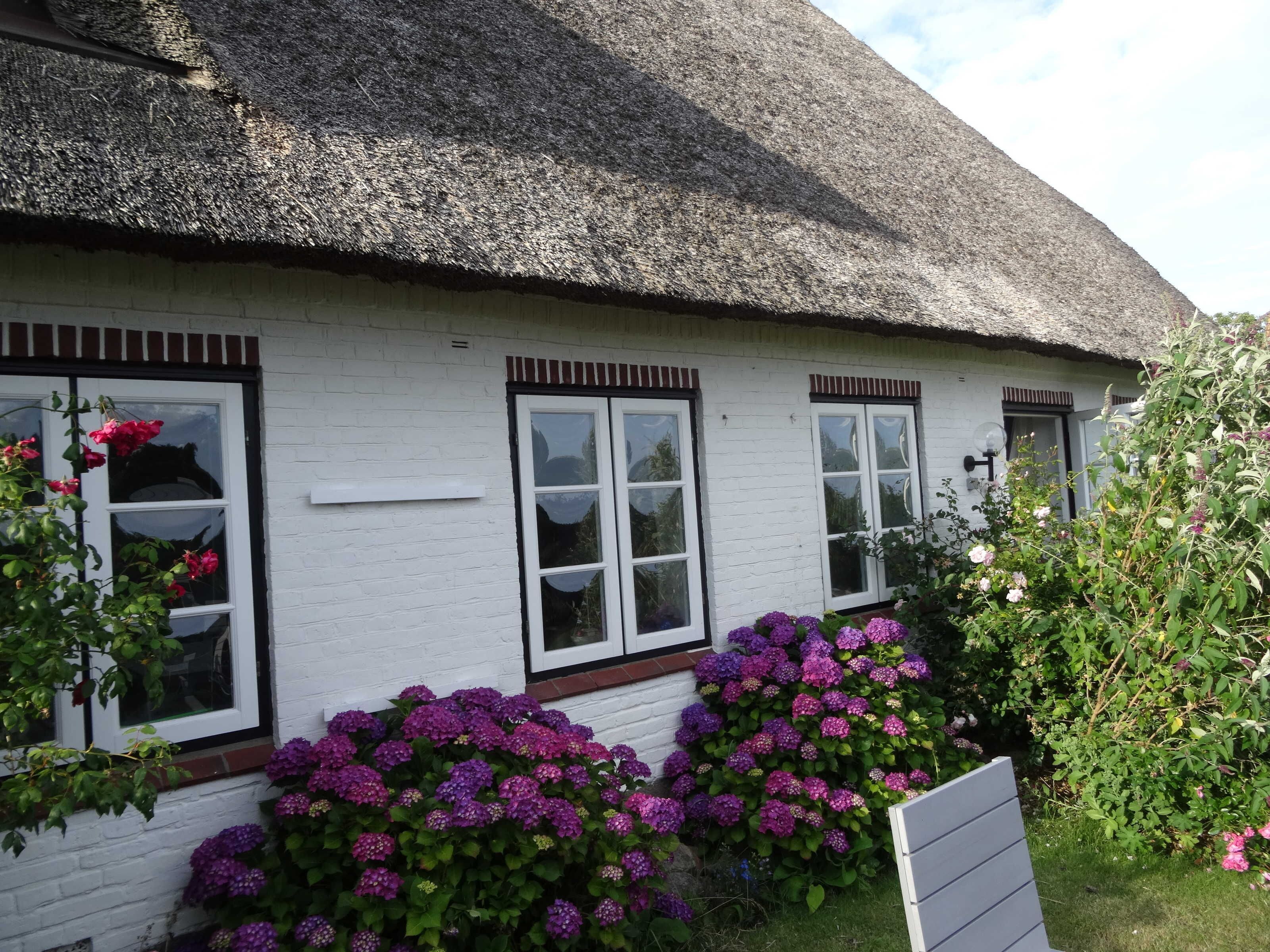 A white building with a thatched roof, white-framed windows, and a small garden with purple flowers.