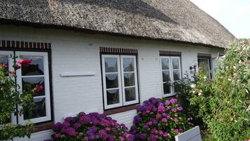 Ein weißes Gebäude mit einem Strohdach, weißen Fensterrahmen und einem kleinen Garten mit violetten Blumen.