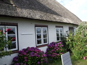 A white building with a thatched roof, white-framed windows, and a small garden with purple flowers. - FW Geltinger Birk - Luckow Georg Asmussen Haus (Pommerby)