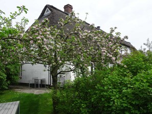 Udendørsområde