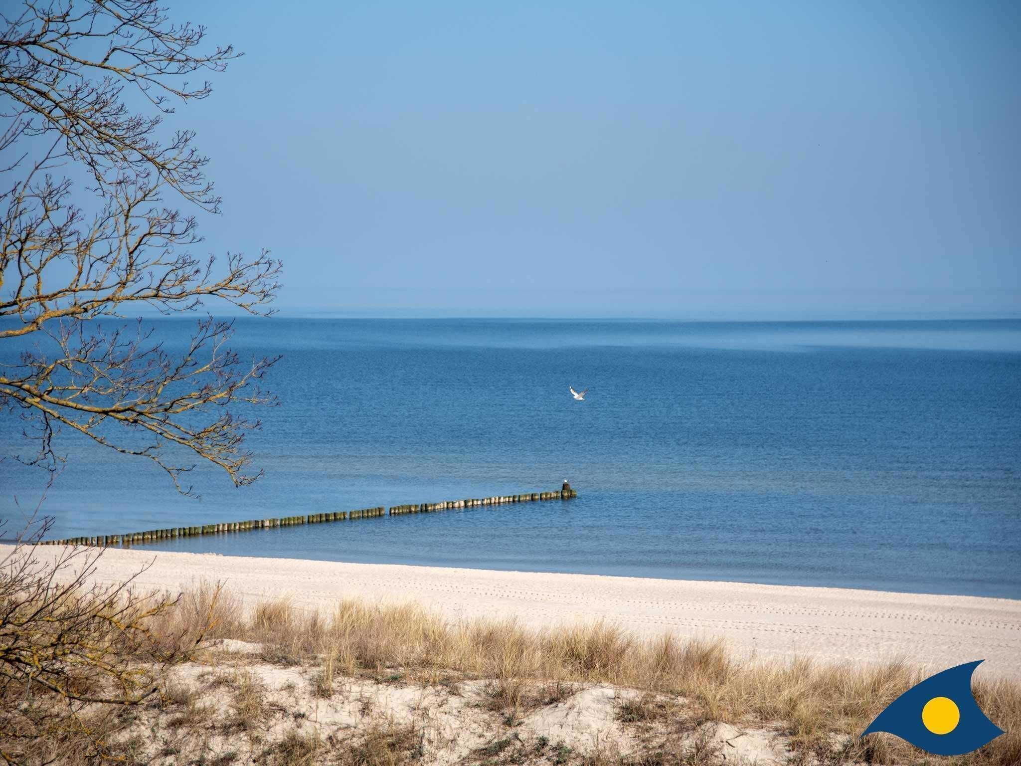 Une plage avec une jetée en bois qui s’avance dans la mer, un ciel dégagé et un oiseau qui vole.