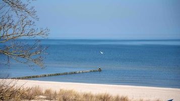 A beach with a wooden pier extending into the sea, a clear sky, and a bird flying.