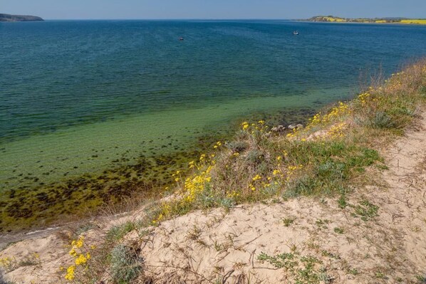 Imagen sin descripción, 1 de 26, botón