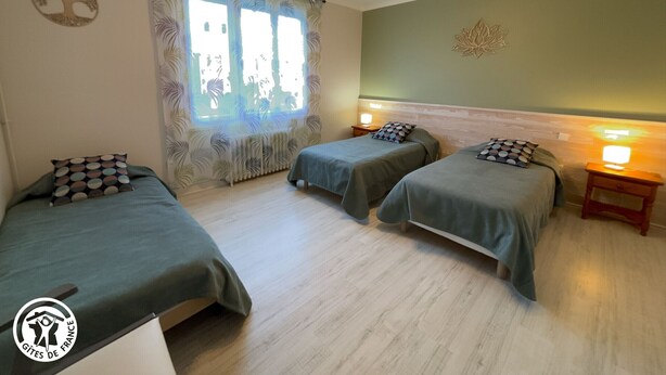 Une chambre avec deux lits, une fenêtre avec des rideaux, un élément de décoration murale et un luminaire au plafond.