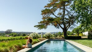 A rectangular pool with a clear blue water surface, surrounded by a well-maintained lawn and a large tree.
