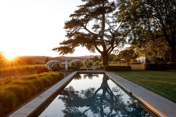 A serene outdoor pool area with a clear view of the surrounding landscape, including a large tree and well-maintained bushes.