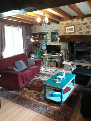 Televisión, chimenea, reproductor de DVD y libros 