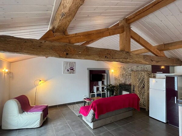 TV - Charming Cottage for 2 in Renovated Barn with Private Terrace, Near Rail Bike Trail (Commequiers)