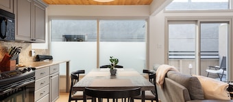 HUGE Modern Downtown Aspen Loft - 3br/2ba!