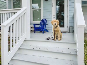 Property grounds - Picture Perfect Retreat with LSV, Bikes, and Community Pool. 4 Minutes to Beach (Santa Rosa Beach)