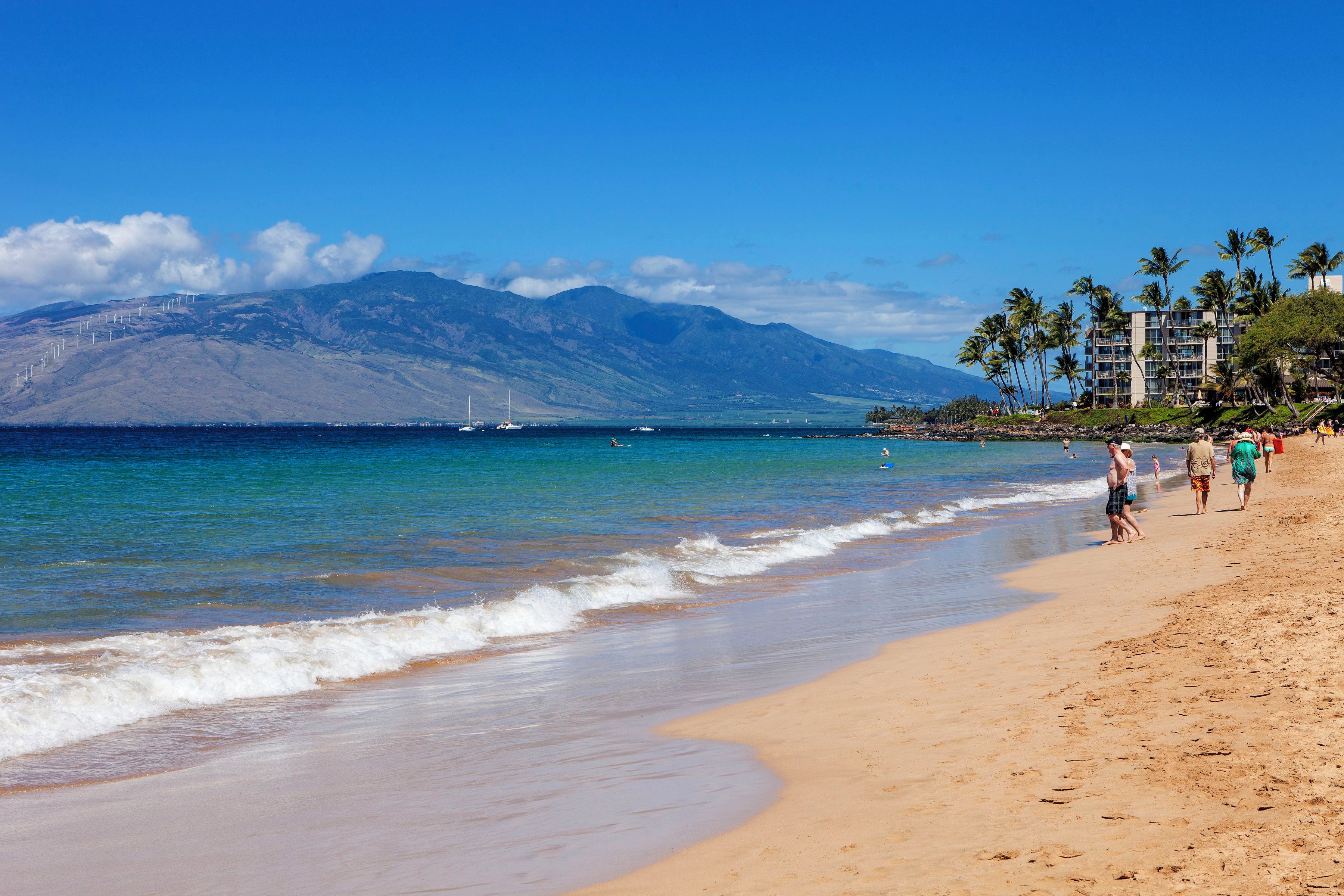 A beach with clear blue water, a mountain in the background, and a few buildings with palm trees.