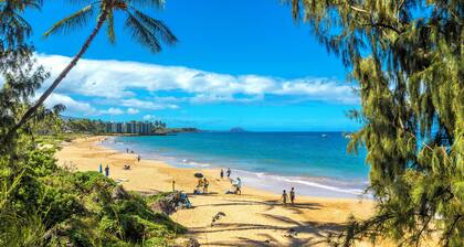 Maui Banyan #H-405 Partial Ocean View, Great Location, Near Kam II Beach