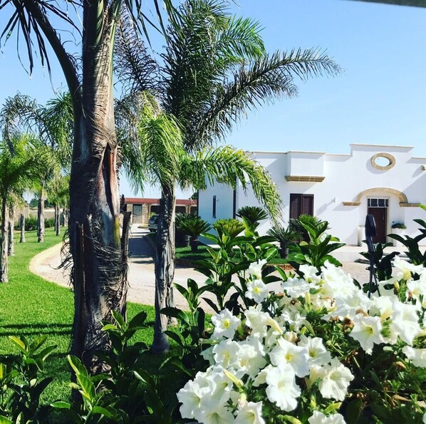 Property grounds - Portion of prstigious villa (Puglia)