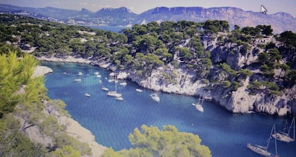 T2 NEW DESIGN TEAM AND FURNITURE