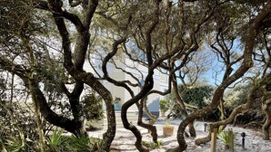 A sign for 'Dune House' in Wyoming, PA, surrounded by trees and a building in the background. - Beachfront in Seaside on Double Lot, Amazing Gulf views, sleeps 4 + 2 Bikes! (Santa Rosa Beach)