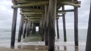 Une jetée en bois s’étendant dans des eaux calmes, avec une plage de sable à son extrémité.